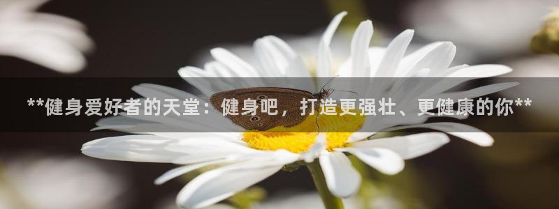 龙8游戏官网