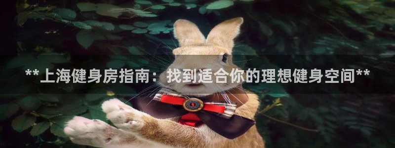 龙八国际娱乐在线游戏