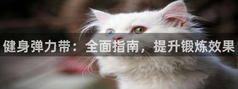 龙8国际官网下载地址