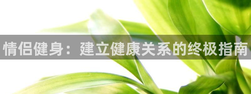 龙8国际在线
