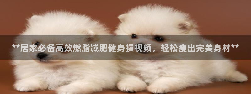 龙8国际安卓版版