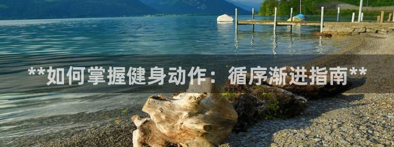 国际龙8官网pt客户端下载
