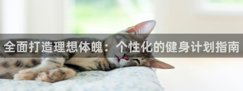龙8老虎机网络游戏