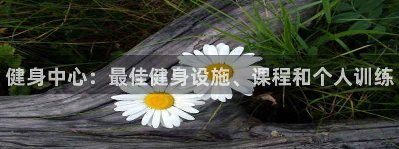 龙8国际的官方网站