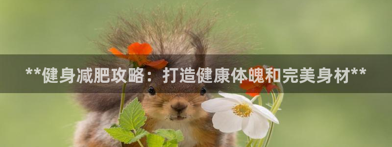龙8国际中国