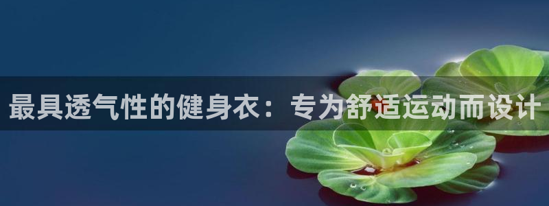 龙8娱乐国际城