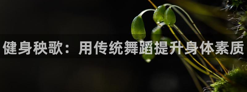龙8国际游戏官网
