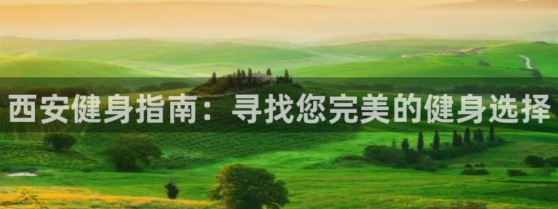 龙8国际游资如何