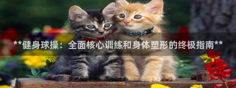 龙8唯一官网