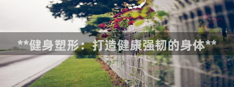 龙8国际官方平台