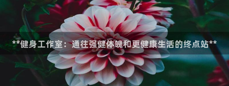 龙8国际手机游戏官网