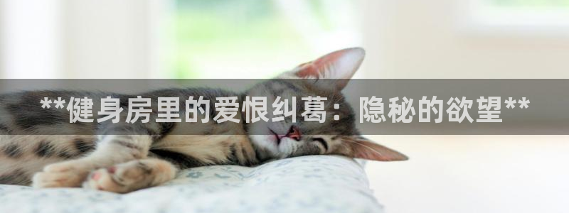 龙8游戏官方进入