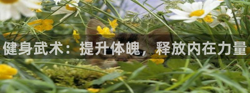 龙8国际版