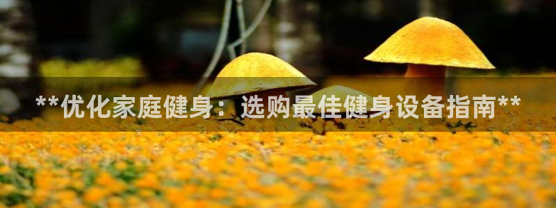 龙8国际手机版