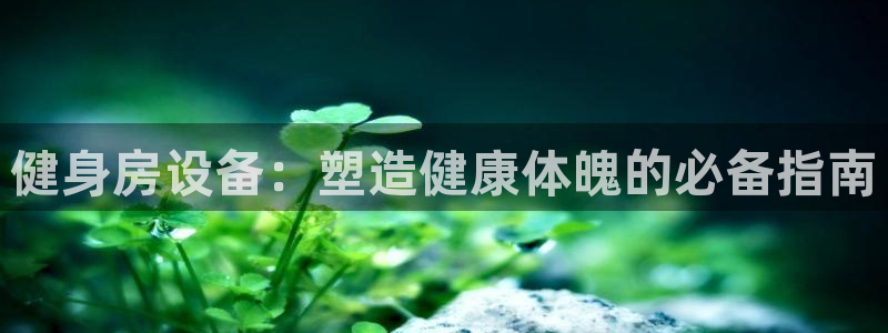 龙8国际pt官方网址