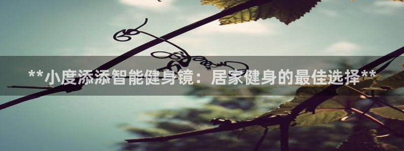 龙8国际在线登录