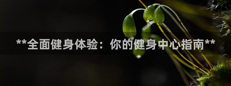龙8国际开户