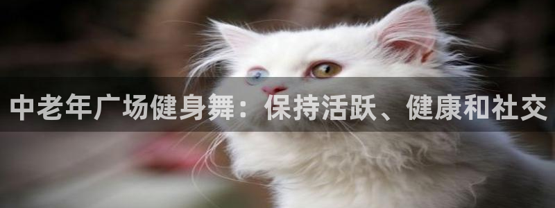 龙8国际龙8官方
