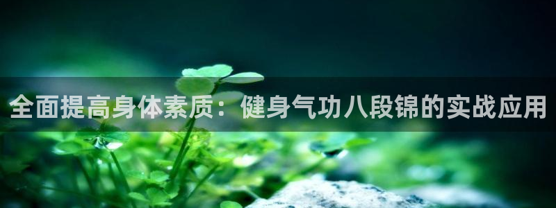 龙八国际娱乐平台网站