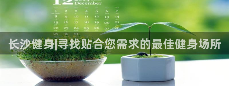 龙8国际网页登陆