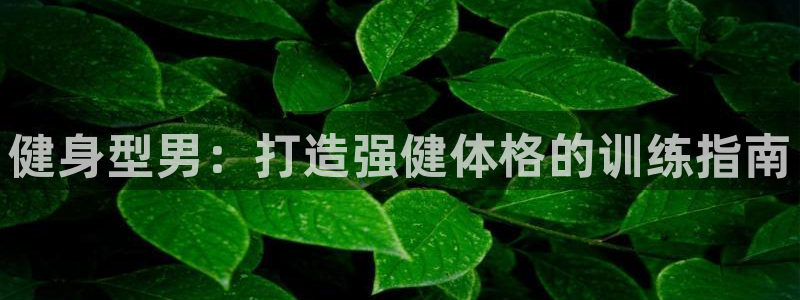 龙8国际网页登录