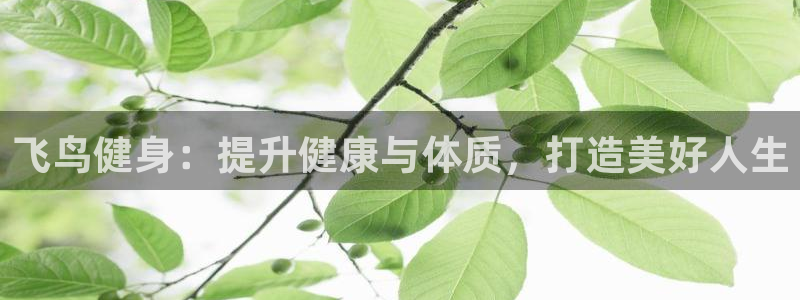 龙8国际官方下载