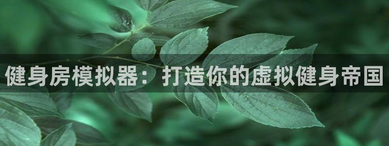 龙8国际平台