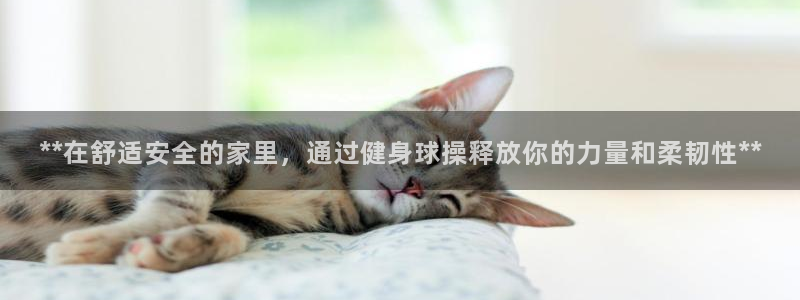 国际龙8hk