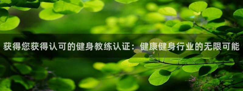 国际龙8hk