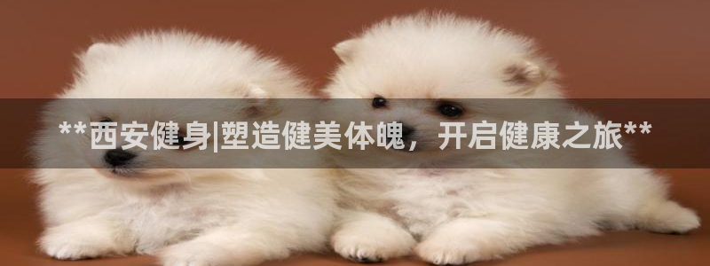 龙8国际官网版玩法