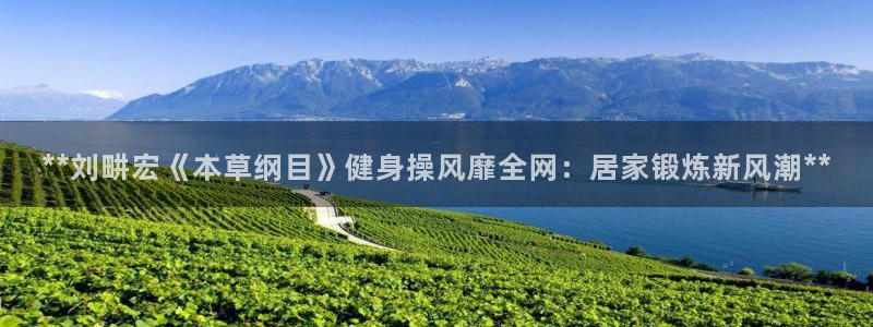 龙8国际总代理