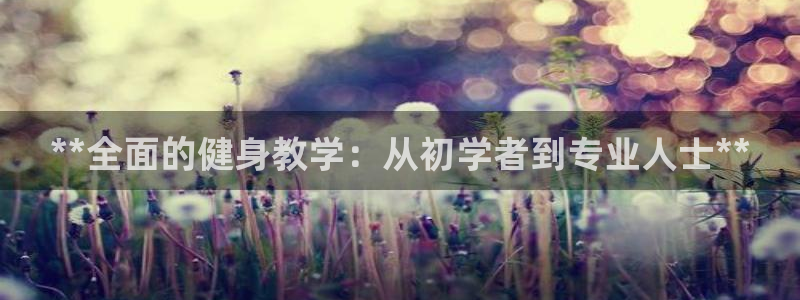 龙8国际在线登录