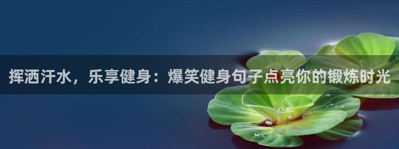 国际龙8下载