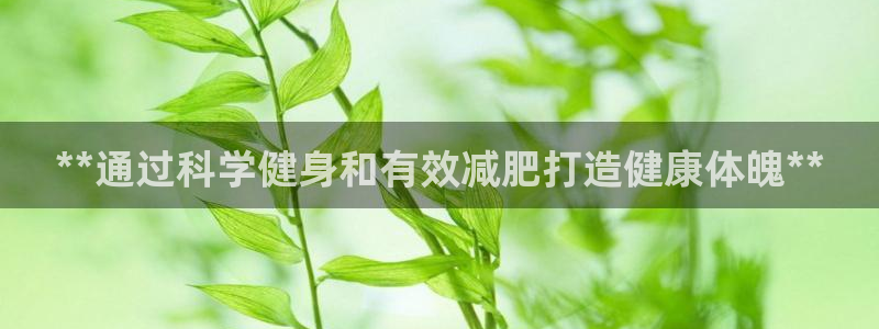 龙8游戏城网址