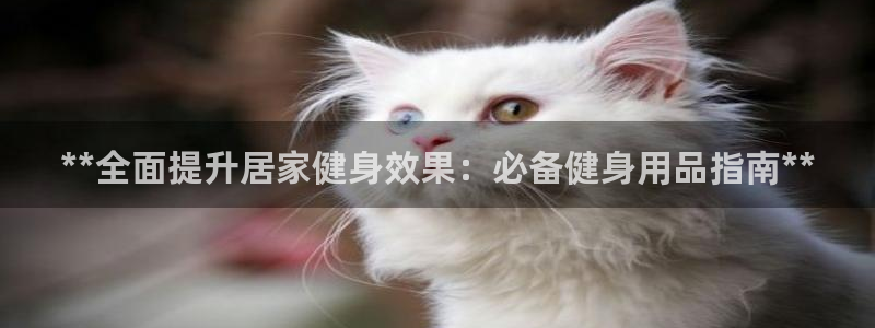 龙8国际老虎机娱乐