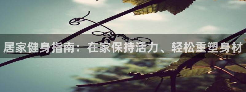 龙8国际龙8官方