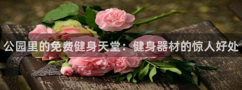 龙8国际pt