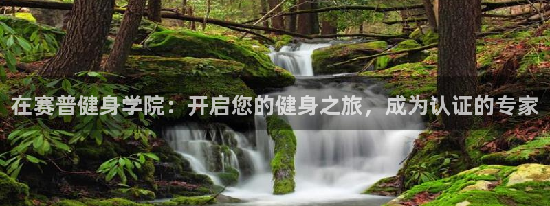 龙8游戏网站