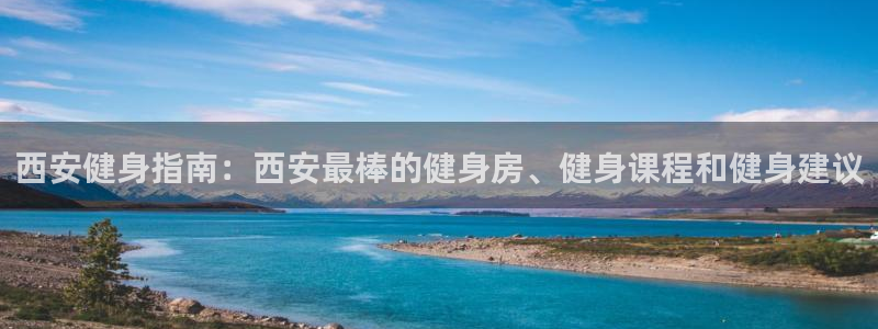 龙8国际pt