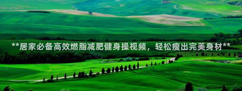 龙8国际long88