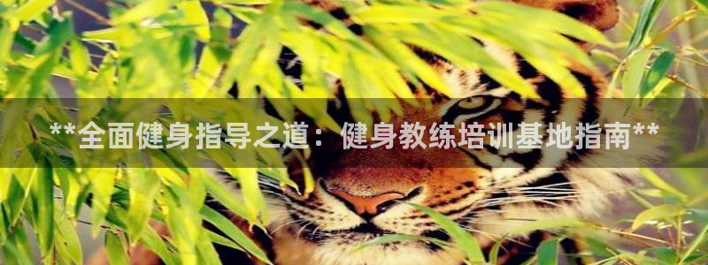 龙8游戏官方网站登录