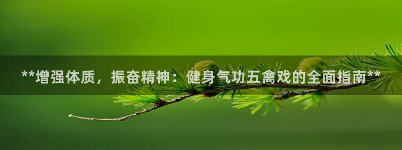 龙8老虎机手机版