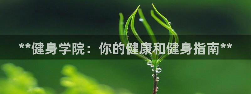 龙8国际手机游戏官网版