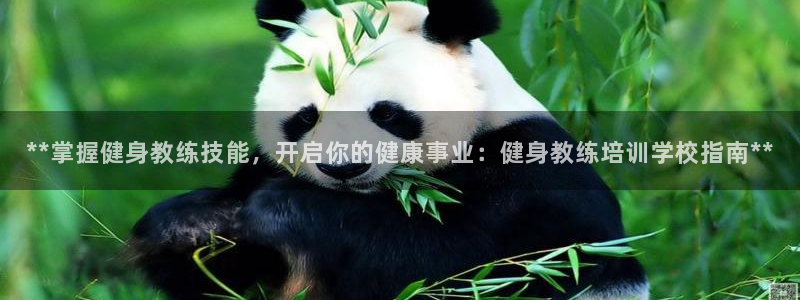 龙8国际app 下载