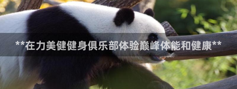 龙8国际long8