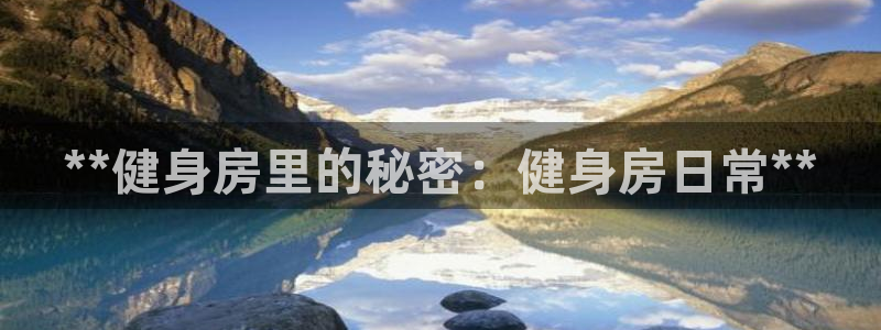 龙8国际手机版官网