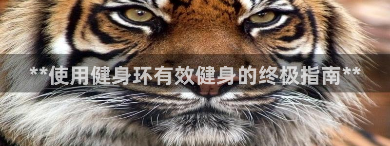 龙8国际在线登录