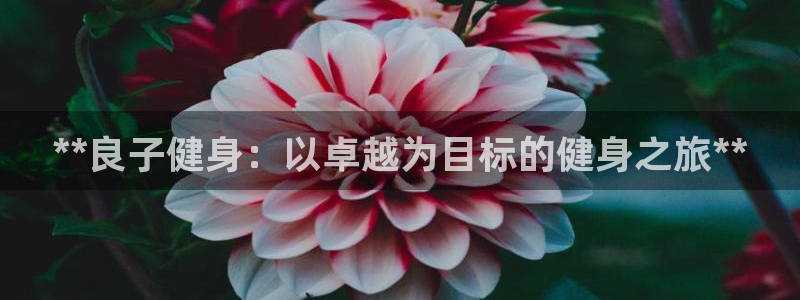 龙8国际头号玩家