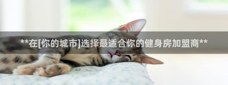 龙八国际娱乐网页多少