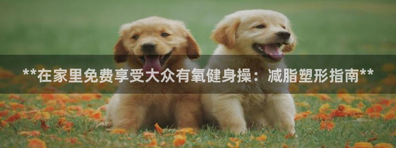 龙八棋牌